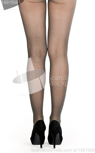 Image of shapely female legs in pantyhose and shoes