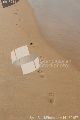 Image of footprints in the sand on the beach