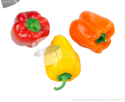 Image of three Bulgarian pepper