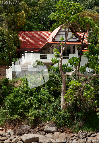 Image of a lone house in the tropical jungles