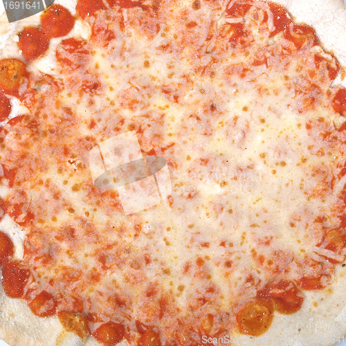 Image of Pizza Margherita