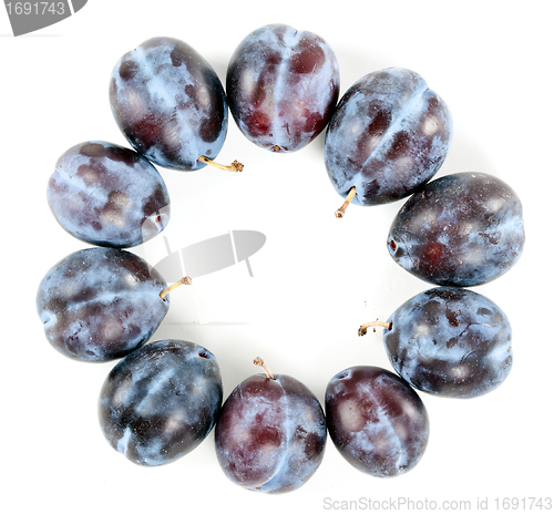 Image of Ripe plums arranged around