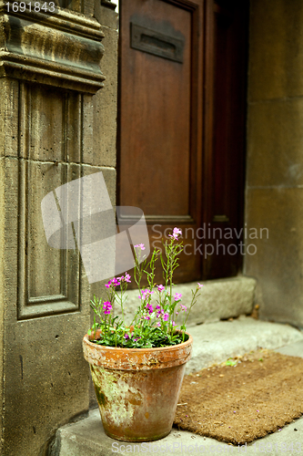 Image of pink flowers in front of a door outdoor