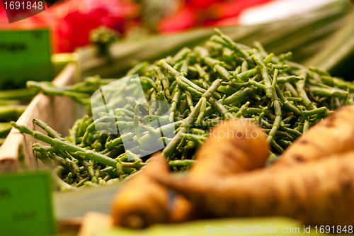 Image of fresh vegetables on the market 