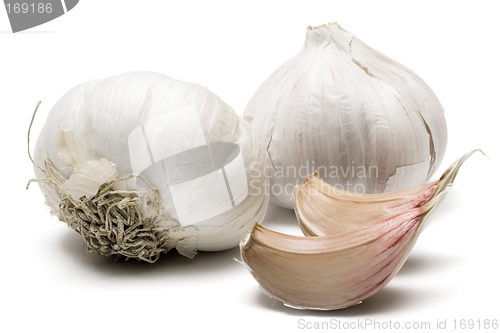 Image of Garlic