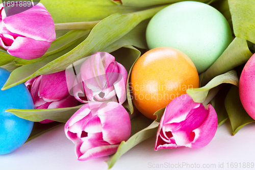 Image of tulip wit eastern eggs a rabbit and letters in different colours