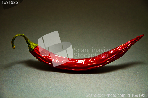 Image of red hot chilli pepper on grey background