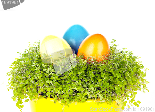 Image of Three different coloured eastrn eggs in a yellow cup