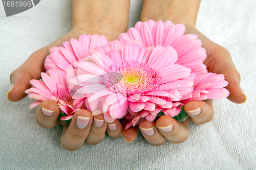 Image of feminin hands with a treatment doing a manicure closeup