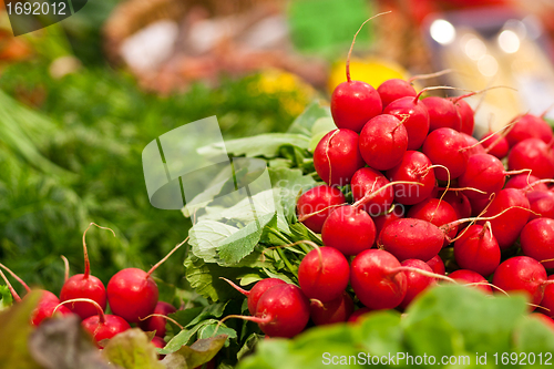 Image of fresh radish on the market