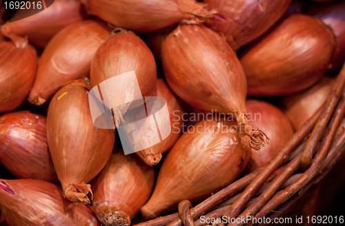 Image of onion in a basket on a market