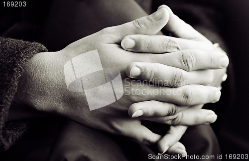 Image of Hands (Monochrome)