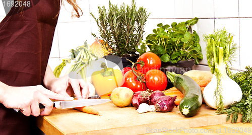 Image of young beautiful housewife is cooking with fresh vegetables