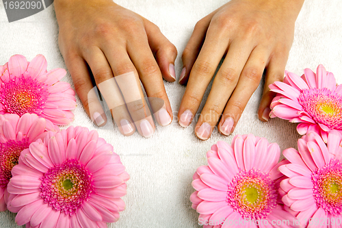 Image of feminin hands with a treatment doing a manicure closeup