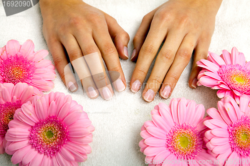 Image of feminin hands with a treatment doing a manicure closeup