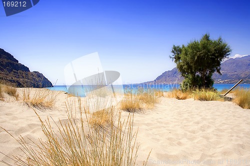 Image of Lonesome Sandy Beach