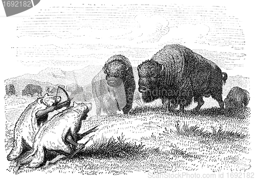 Image of Buffalo Hunt