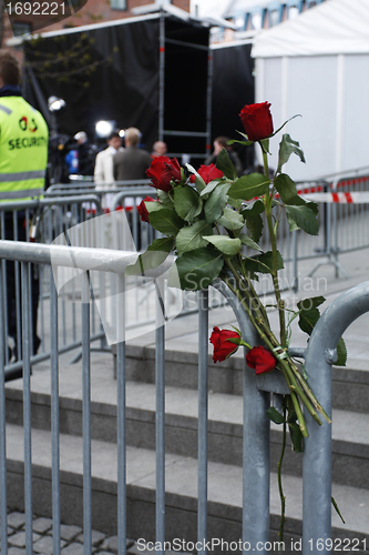 Image of Red roses