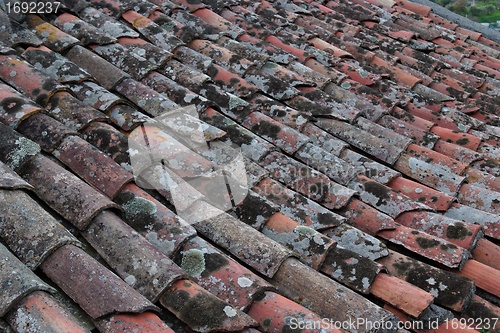 Image of Old roof tiles covered with lichen and moss