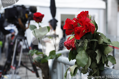 Image of Red roses