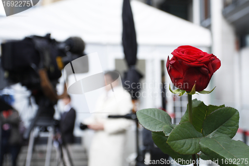 Image of Red rose