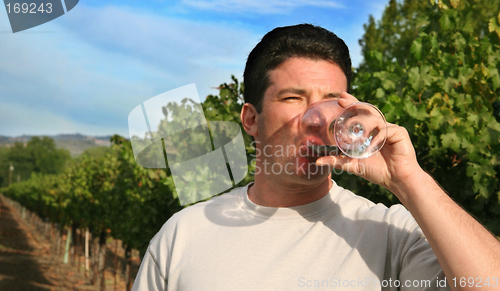 Image of Wine tasting