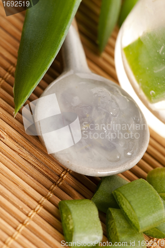 Image of aloe vera juice with fresh leaves