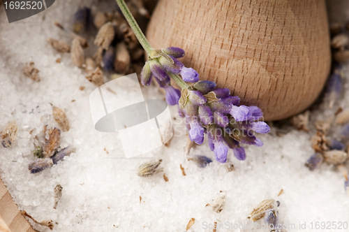 Image of Lavender Sugar