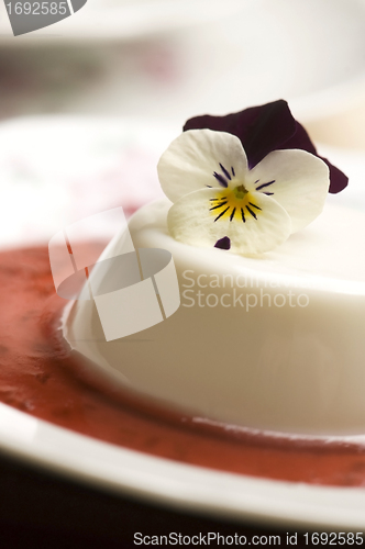 Image of Vanilla panna cotta with berry sauce and spring flower