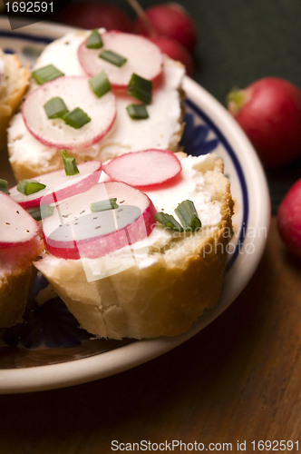 Image of Sandwich with cheese, radish and chive - Healthy Eating 