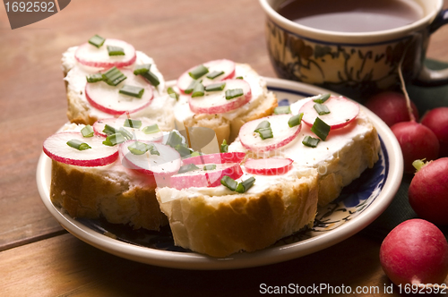 Image of Sandwich with cheese, radish and chive - Healthy Eating 