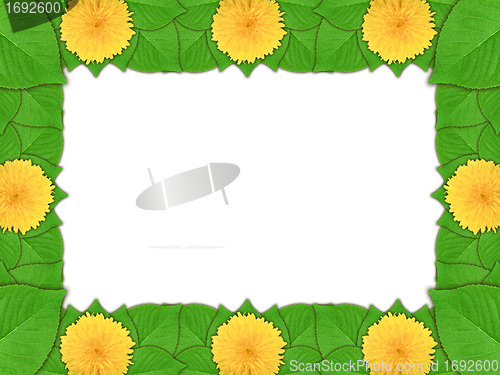 Image of Floral frame with yellow flowers and green leaf