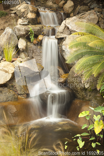 Image of Japanese Zen Garden Stream