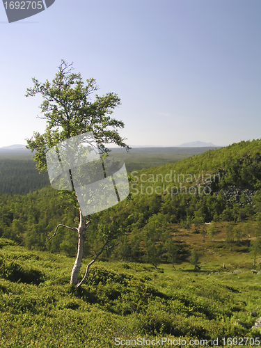 Image of Mountain Landscape