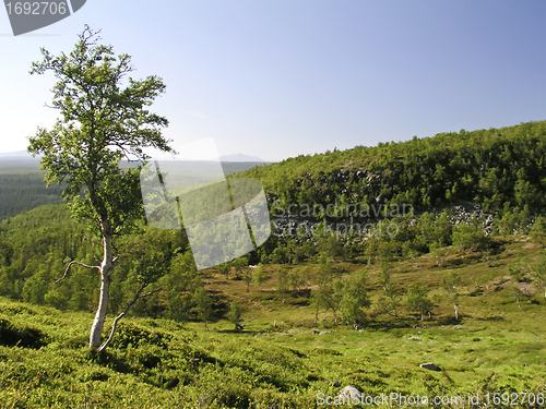 Image of Mountain Landscape