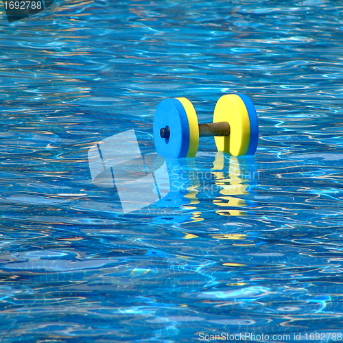 Image of Floating aqua aerobics dumbbell 