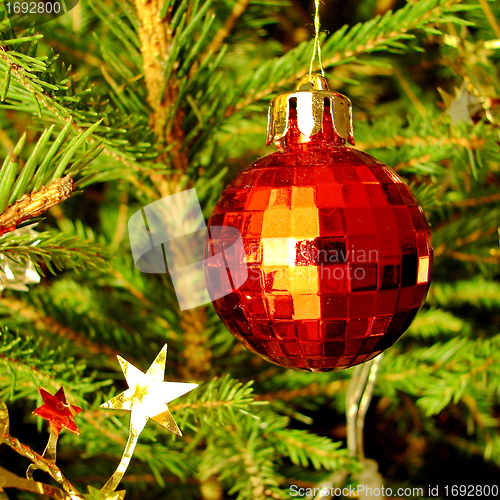 Image of Red sphere on a Christmas tree