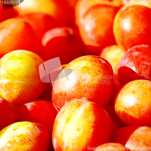Image of Plums 