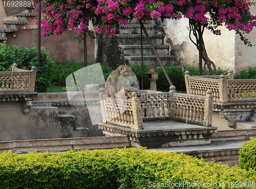 Image of Bundi Palace