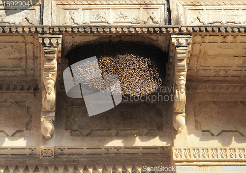 Image of bees hive at Bundi Palace