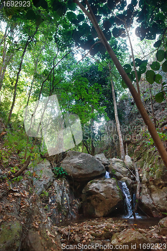 Image of small waterfall in stream