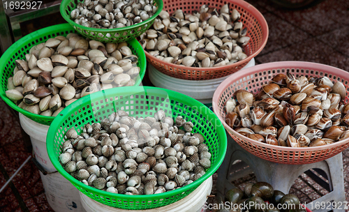 Image of mussels and cockles for sale