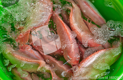 Image of fresh fish for sale