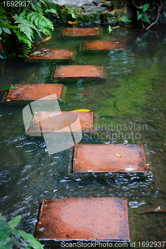 Image of stepping stones across stream
