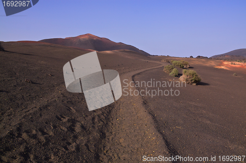 Image of Walking through volcanic park