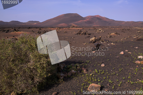Image of Volcanic park on Canary Islands