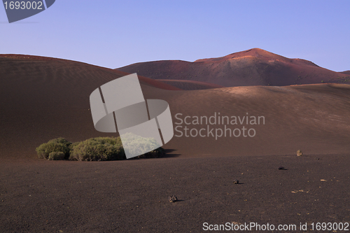 Image of Volcanic park Timanfaya