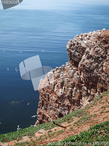 Image of red cliff of Helgoland