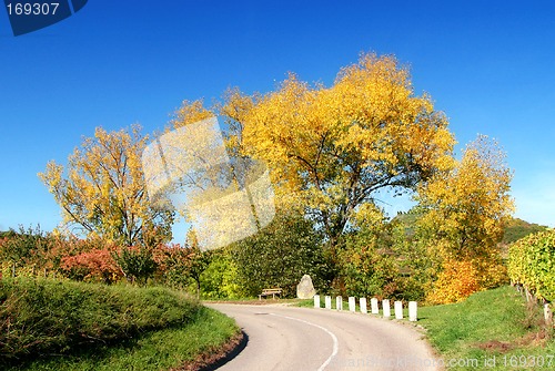 Image of Autumn Colours