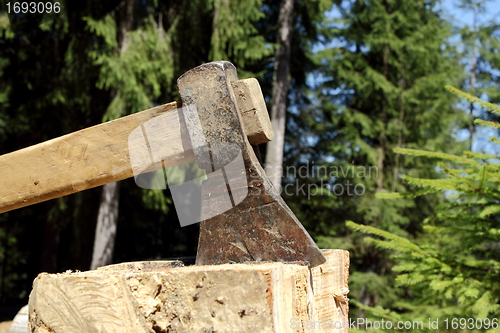 Image of ax chopping a stub